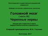 Головной мозг (часть II). Черепные нервы