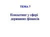 Консалтинг у сфері державних фінансів