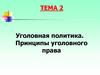 Уголовная политика. Принципы уголовного права