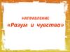 Направление «Разум и чувства»