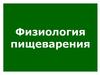 Физиология пищеварения