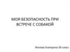 Безопасность при встрече с собакой