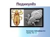 Педикулёз