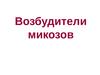 Возбудители микозов