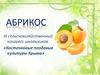 Абрикос. Косточковые плодовые культуры Крыма