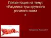 Разделка туш крупного рогатого скота