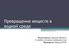 Превращение веществ в одной среде