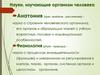 Науки, изучающие организм человека