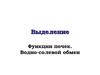 Функции почек. Водно­солевой обмен