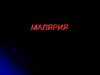 Малярия. Возбудители малярии