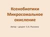 Ксенобиотики. Микросомальное окисление