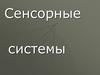 Сенсорные системы