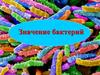 Значение бактерий