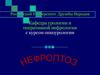 Нефроптоз (опущение почки)