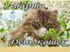 День кошек