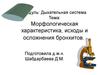 Дыхательная система. Морфологическая характеристика, исходы и осложнения бронхитов