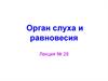 Орган слуха и равновесия