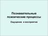 Познавательные психические процессы
