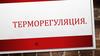Терморегуляция
