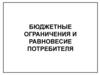 Бюджетные ограничения и равновесие потребителя