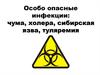 Особо опасные инфекции: чума, холера, сибирская язва, туляремия