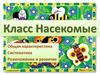 Класс Насекомые