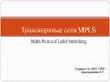 Транспортные сети MPLS