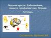 Органы чувств. Заболевания, защита, профилактика. Первая помощь