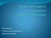 Виды присадок к моторным топливам (бензин)