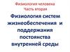 Физиология систем жизнеобеспечения и поддержания постоянства внутренней среды. Физиология крови