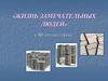 "Жизнь замечательных людей". К 80-летию серии