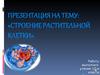 Строение растительной клетки
