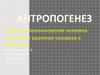 Антропогенез. Гипотезы возникновения человека. Сходство и различия человека и животных. (Часть 1)