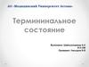 Термининальное состояние