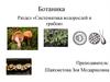 Систематика водорослей и грибов