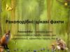 Ракоподібні. Цікаві факти