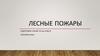 Лесные пожары