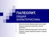 Палеолит. Общая характеристика