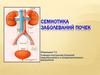 Семиотика заболеваний почек
