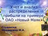 Учет и анализ распределения прибыли на примере ОАО «Новый Маяк»