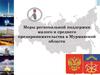 Меры региональной поддержки малого и среднего предпринимательства в Мурманской области
