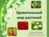 Удивительный мир растений