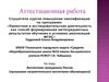 Аттестационная работа. Воспитание гражданина России. Программа патриотического воспитания обучающихся