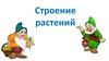 Строение растений