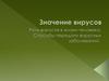 Значение вирусов. Роль вирусов в жизни человека. Способы передачи вирусных заболеваний