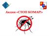 Акция «Стоп комар». Малярия