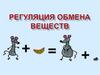 Регуляция обмена веществ