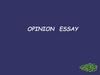 Opinion essay