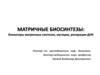 Матричные биосинтезы: блокаторы матричных синтезов, мутации, репарация днк