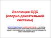 Эволюция ОДС (опорно-двигательной системы)